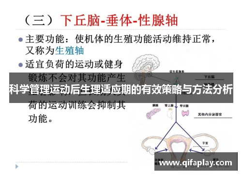 科学管理运动后生理适应期的有效策略与方法分析