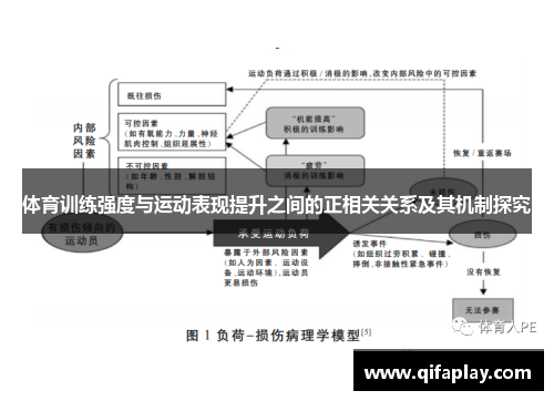 体育训练强度与运动表现提升之间的正相关关系及其机制探究